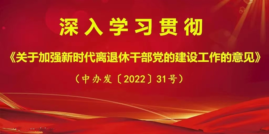 中办31号文件.jpg