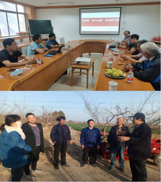 芮城县直离退休干部第八党支部以四个表率落实意见精神